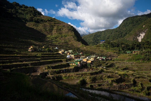 Batad village in the midst of its vast rice terraces: Currently fields expose water, as here a crop is used that yields only one harvest a year