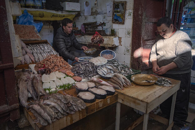 Fes: Fish market in old town