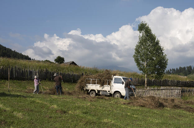 Collecting grass in Tsvirmi, Svaneti