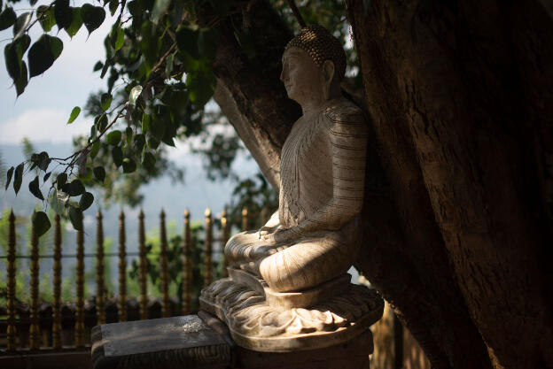 Buddha statue under Bodhi tree at Bahirawakanda Temple, Kandy, Sri Lanka