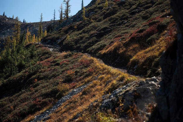 North Cascades: Maple Pass trail