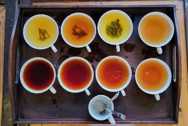 Tea tasting in Sri Lanka: Silver tip, gold tip, green tea, Orange Pekoe (OP), Flowery Broken Orange Pekoe (FBOP), BOP, BOPF (Fannings)