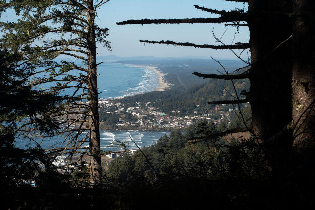 Oregon west coast: View from Cape Perpetua Overlook towards Yachats