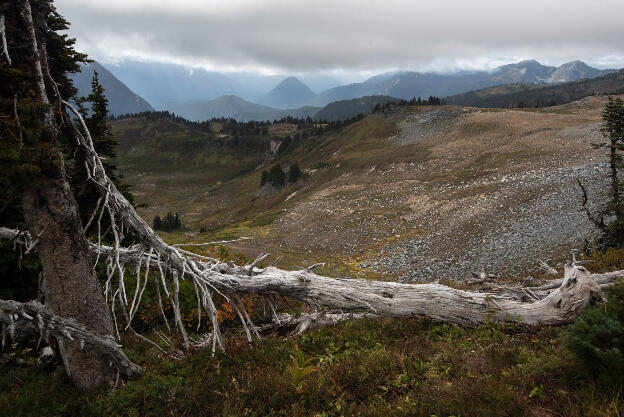 Mount Rainier National Park: Skyline Trail