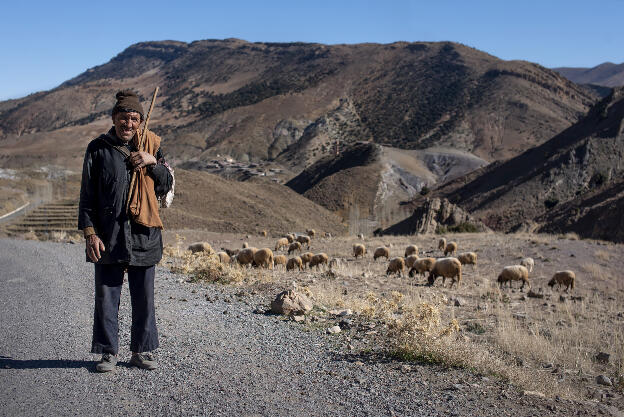 Shepherd in Atlas mountains