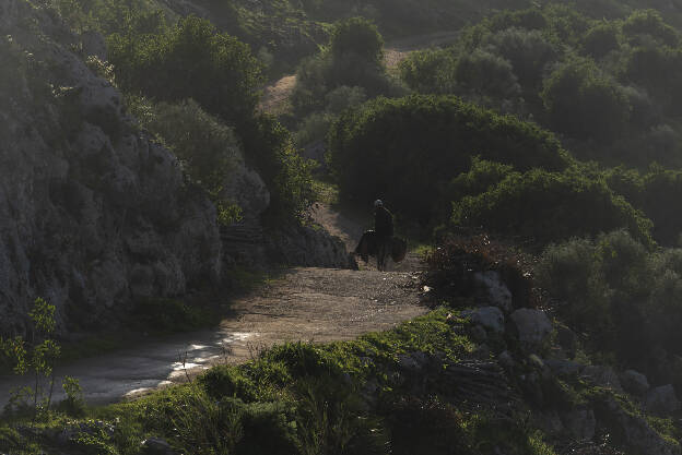Near Oualidia