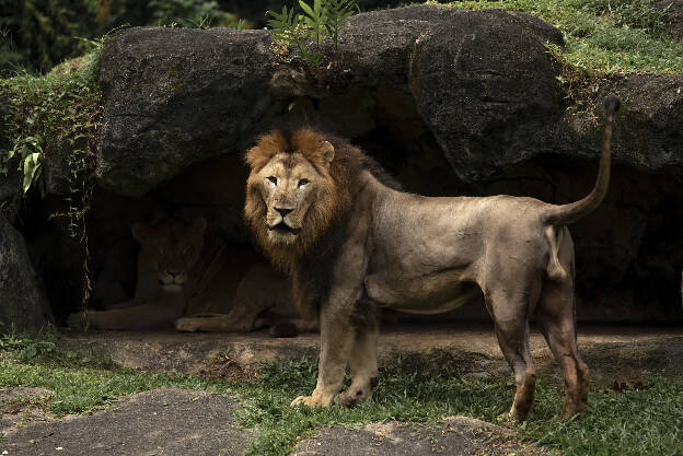 Zoo