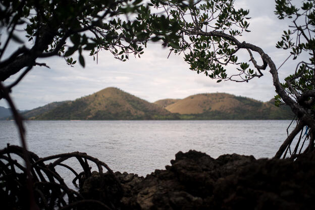 Islands off Coron Island, Palawan