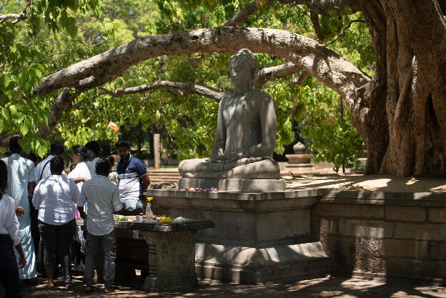 Milk offering at Buddha statue at Jethawanaramaya Stupa, Anuradhapura, Sri Lanka