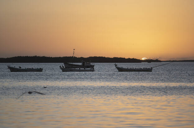Sunset in Rio Lagartos