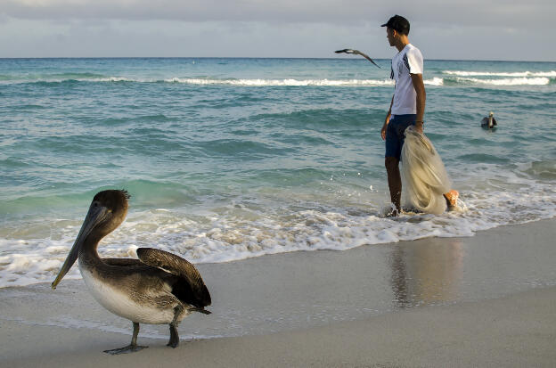 Fisherman and pelican at Varadero beach