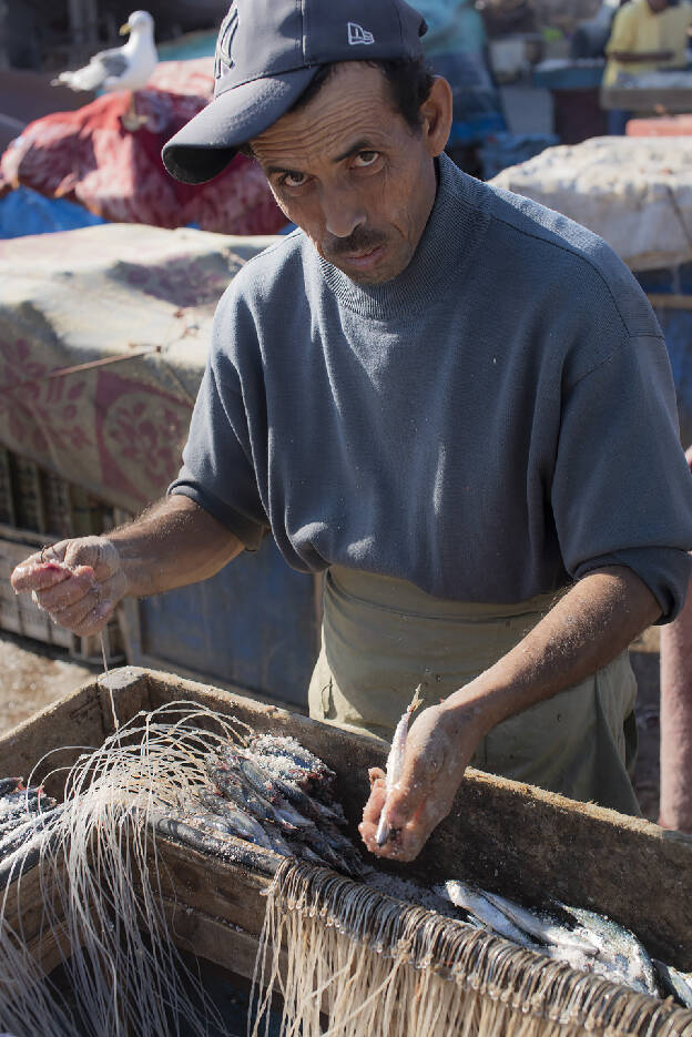 Essaouira port