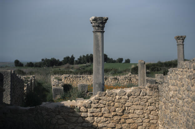 Volubilis roman ruins near Meknés
