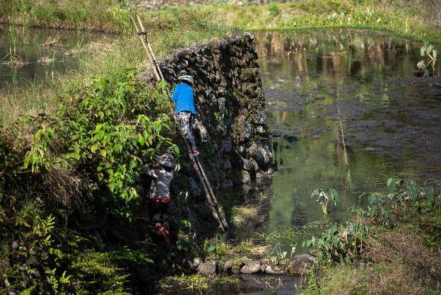 Batad: Walls need to be cleaned from the shrub that will otherwise house rats that would destroy the rice seedlings