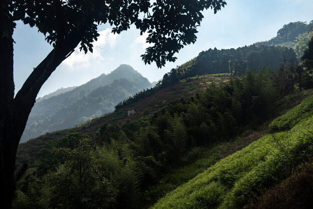 Dahu, Taiwan: Near Manabang Shan trailhead