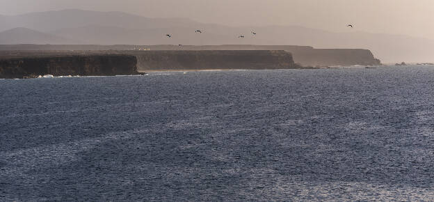 El Cotillo coastline