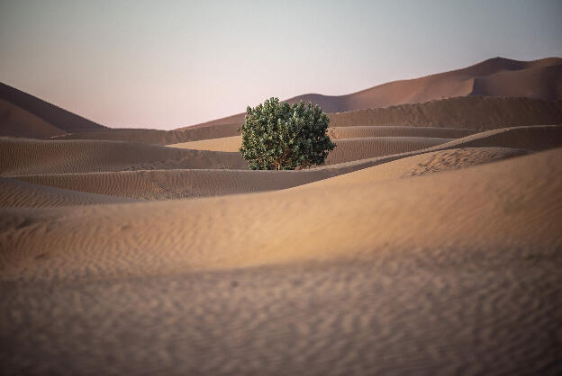 Merzouga desert
