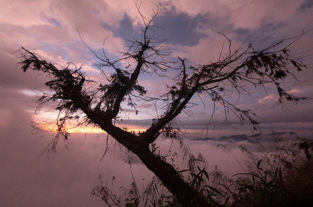 Alishan, Taiwan: View from Eryanping Trail after sunset