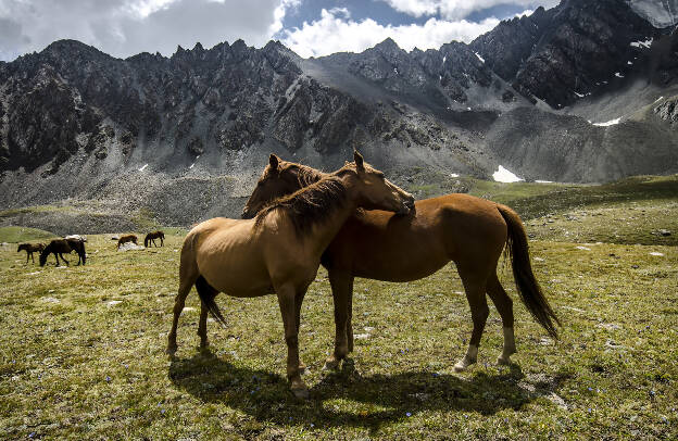 Descending into Ak-Suu valley to Altyn Arashan