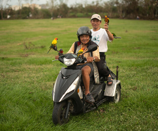 Kaohsiung, Taiwan: Weiwuying Metropolitan Park - Bird lovers meeting spot