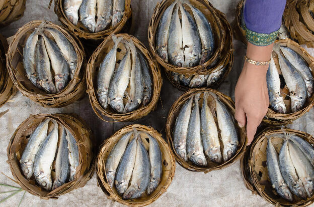 Typical fish presentation on a market in Luang Prabang