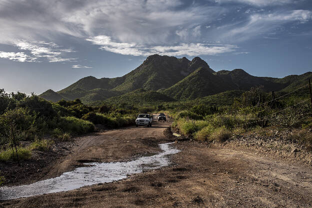 Drive to Cabo Pulmo, Baja California