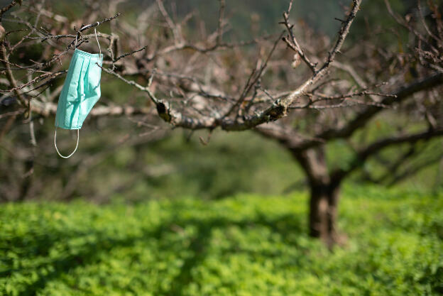 Dahu, Taiwan: Near Malabang Shan trailhead - People stick stuff on their fruit trees