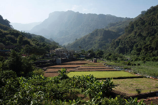 Dahu, Taiwan: Driving up the valley towards Malabang Shan - Strawberry fields