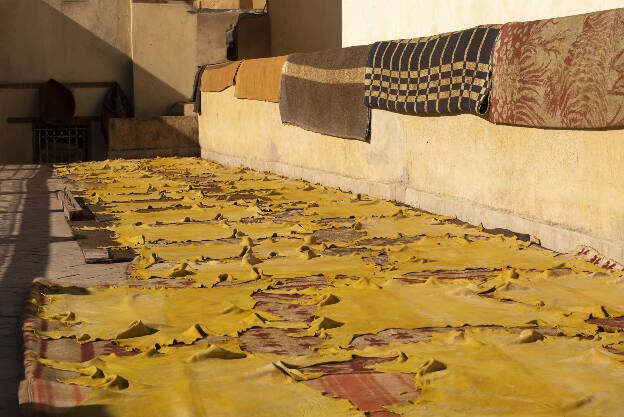 Fes: Tannerie