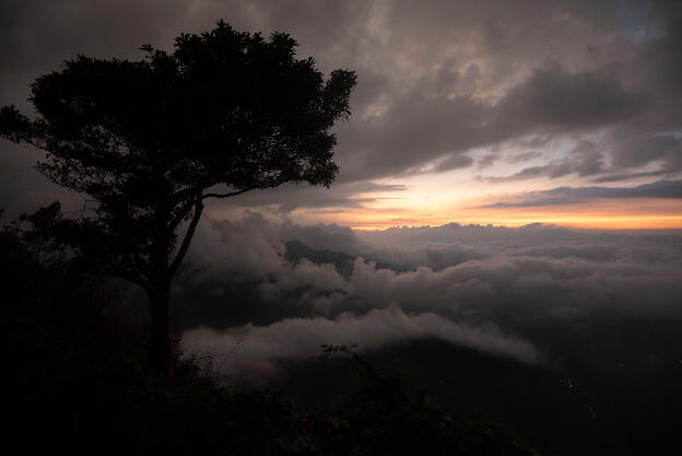 Alishan, Taiwan: View from Eryanping Trail after sunset