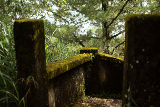 Alishan, Taiwan, on Tashan Trail