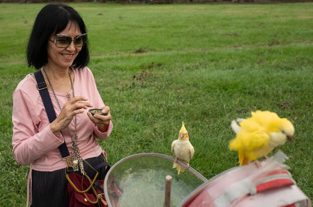 Kaohsiung, Taiwan: Weiwuying Metropolitan Park - Bird lovers meeting spot