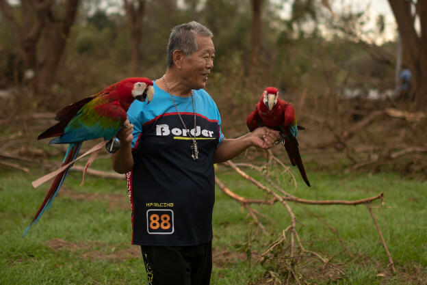 Kaohsiung, Taiwan: Weiwuying Metropolitan Park - Bird lovers meeting spot