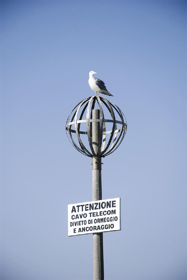 Telecom Venezia