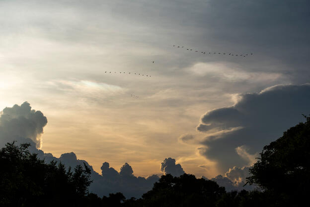 Evening sky over Hurulu Eco Park, Sri Lanka