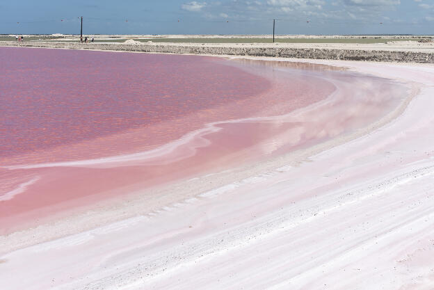 Pink lake in salina in Las Coloradas