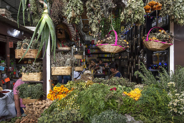 Mercado 20 de Noviembre, Oaxaca