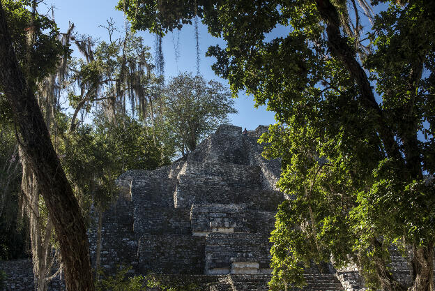 Maya ruins of Calakmul: Main temple on main plaza
