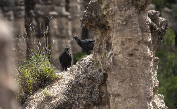 Los Estoraques near La Playa de Belén