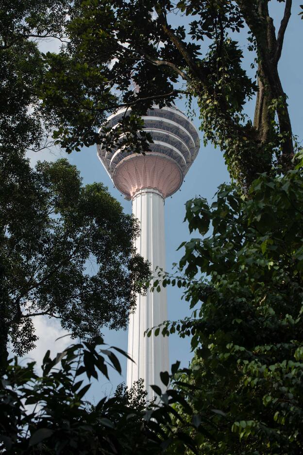 View from Forest Eco Park to KL tower