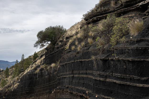 Edge of Pico de Bandama crater