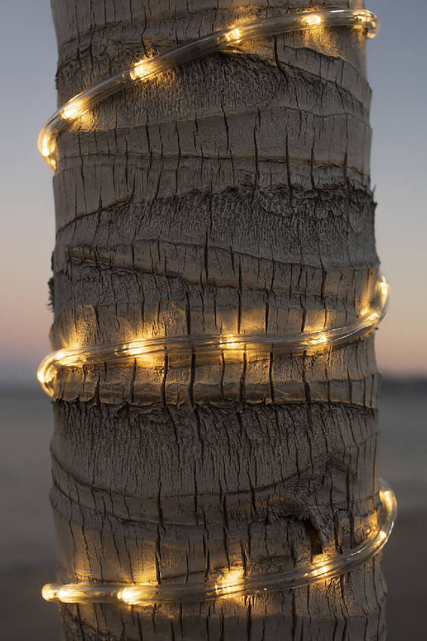 Xmas decoration in La Paz, Baja California